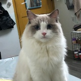 三万岁