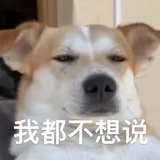 洱捌路