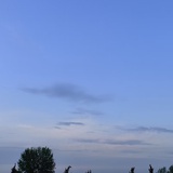 无辩
