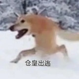透明人间之骨