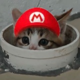 我是猫里奥