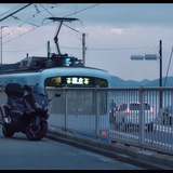 从聿