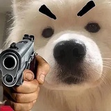 荼蘼谢尽