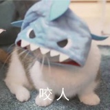 柳浮烟