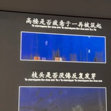 多问