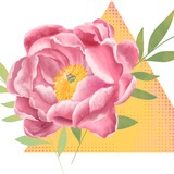 俞子先kun