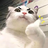 咻咻
