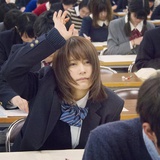 柳叶桨