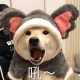 浩渺一叶扁舟