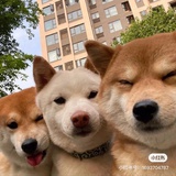玉宁