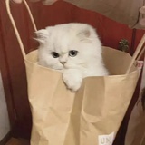 你在拉姆萨米