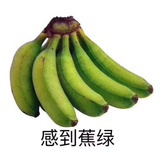 江骗湖子