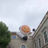 秋刀鱼