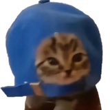 网网_