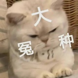 起名废柴