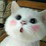 移珠游戏