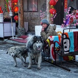 听海的人