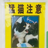 猛猫注意