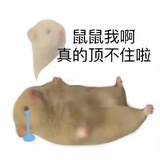 财源广进