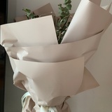 木本药材