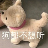 朴志晟何体统