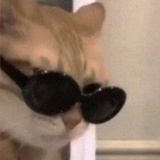 在等击碎的那刻