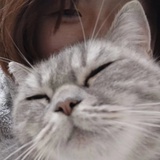 猫猫教传教士
