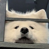 力不从心