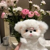 我爱吃炸鸡