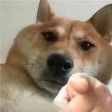 豆瓣日记