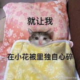 知止