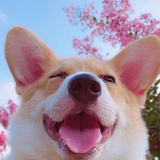 不如不见