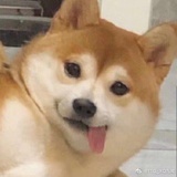 豁