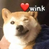 雪卷卷