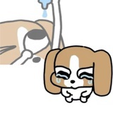 比格犬王子