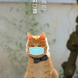 小号(已黑化)