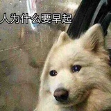 挖掘机