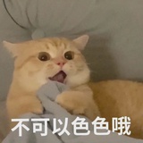 王昭君(已超神