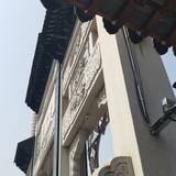 猪猪猪