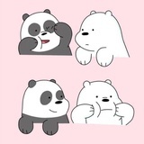 白告皓