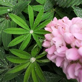豆友241663874
