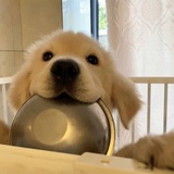 yummy