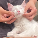 小熊不会难过啦