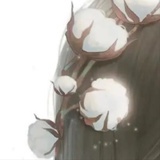 哦羊物语桃花酿