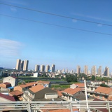 悠悠的大雁