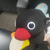 珊瑚虫