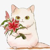 隆继里的猫