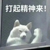 麻辣王子