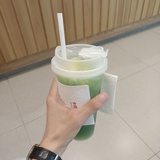 迷路的麋鹿