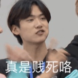 高贵路人